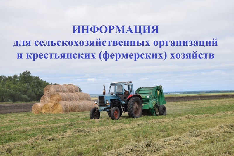 ИЗВЕЩЕНИЕ о возможности приобретения земельных участков из земель сельскохозяйственного назначения, находящихся в муниципальной собственности  и выделенных в счет земельных долей.